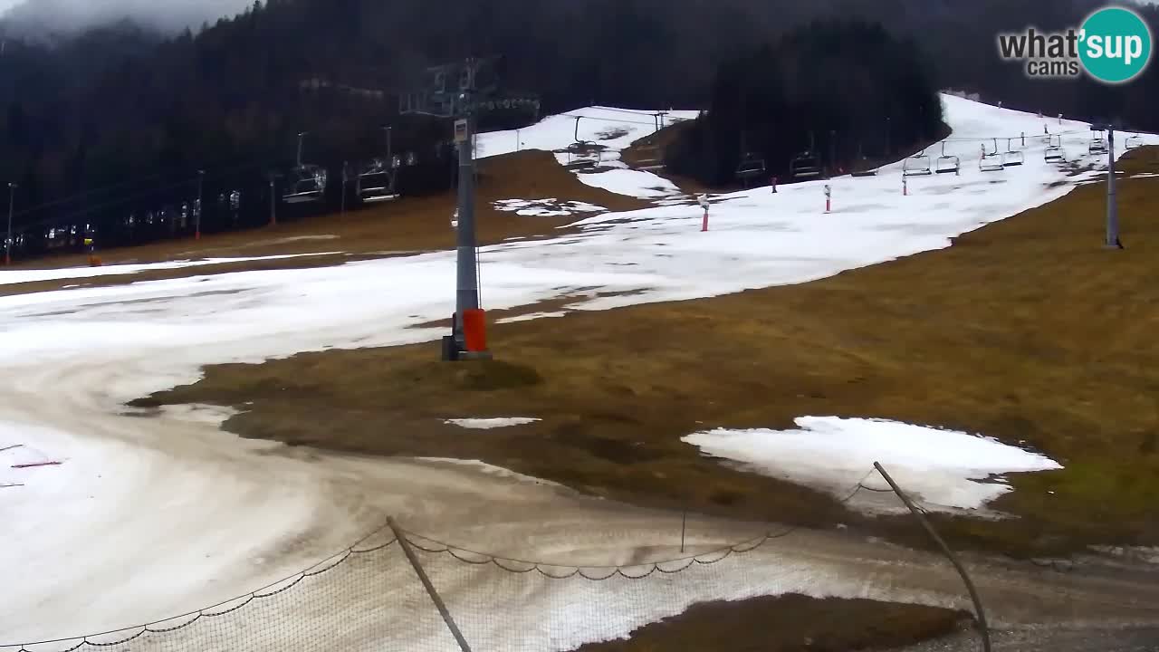 Kranjska Gora Live Cam Vitranc 1 | SKI Resort