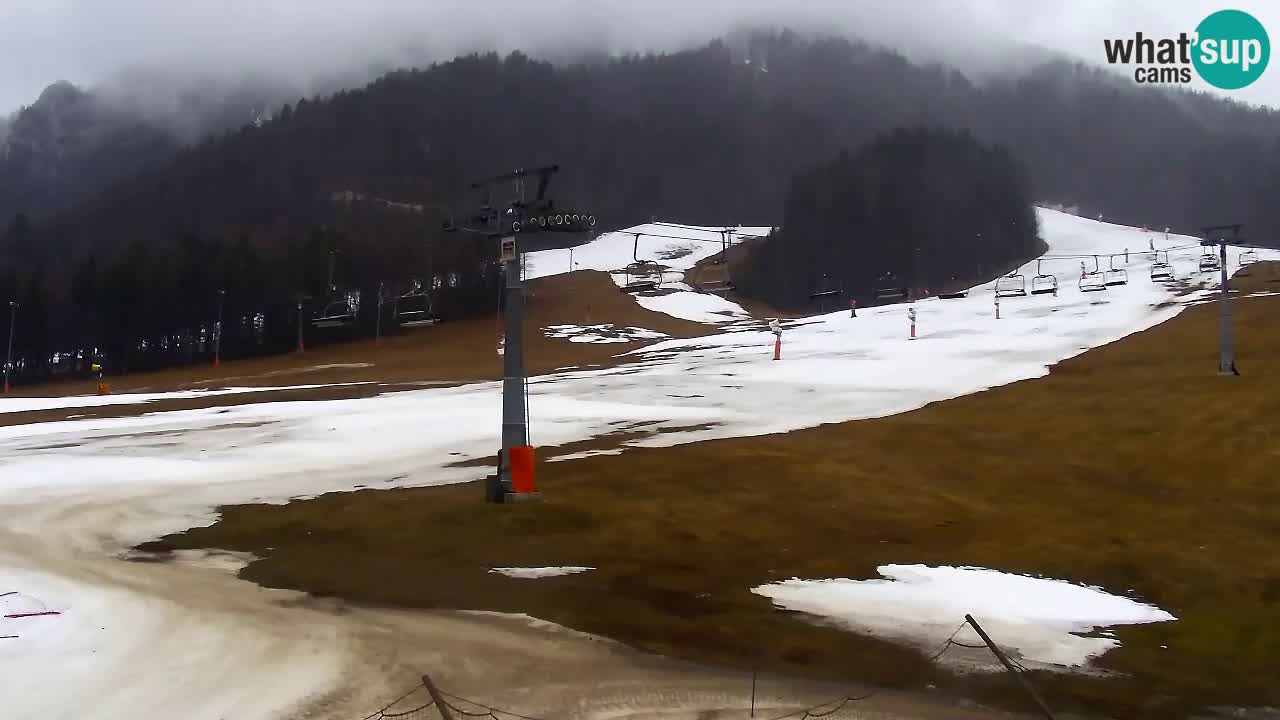 Webcam ski center Kranjska Gora – Vitranc