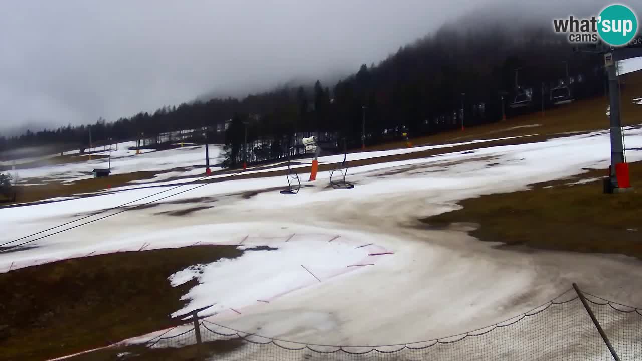 Kranjska Gora Live Cam Vitranc 1 | SKI Resort