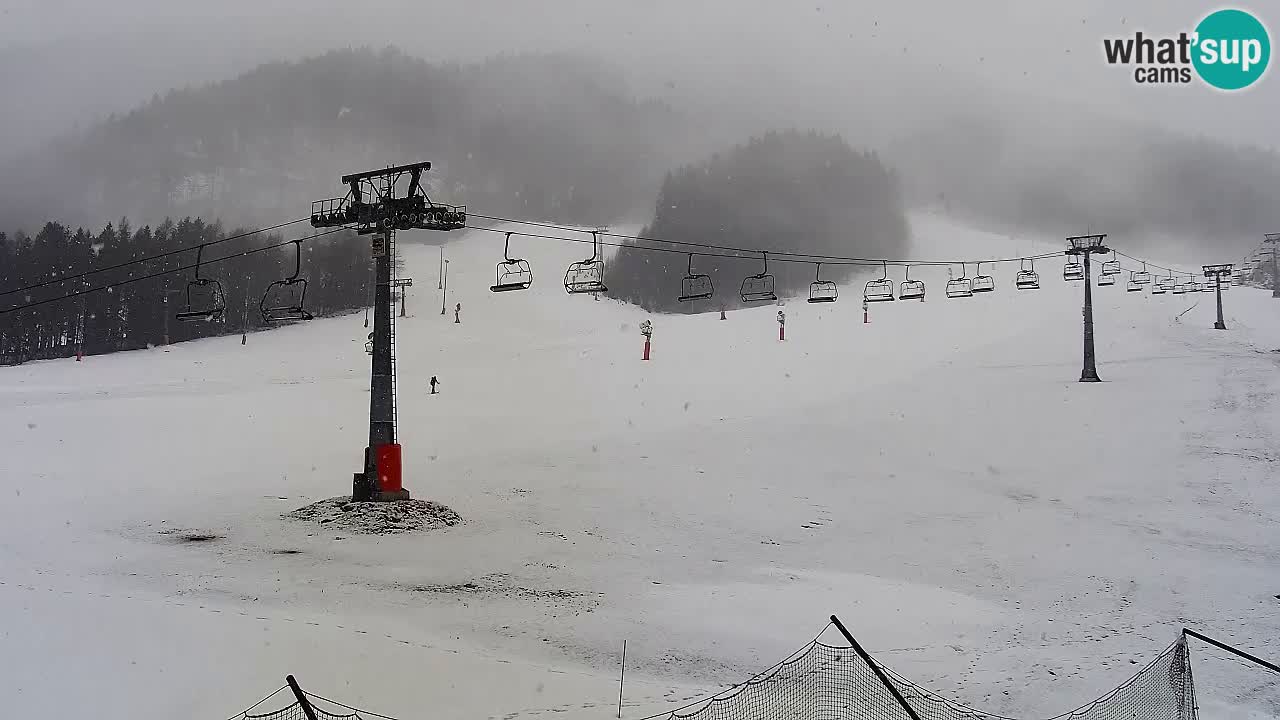 Webcam Kranjska Gora Vitranc | Smučarska proga Vitranc 1