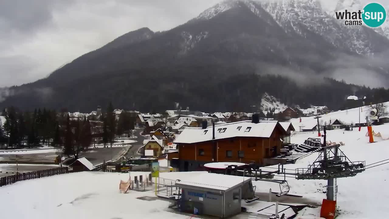 Webcam Kranjska Gora Vitranc | Smučarska proga Vitranc 1