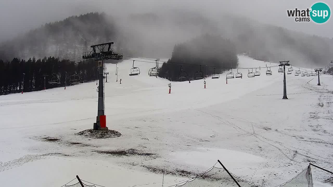 Webcam Kranjska Gora Vitranc | Smučarska proga Vitranc 1