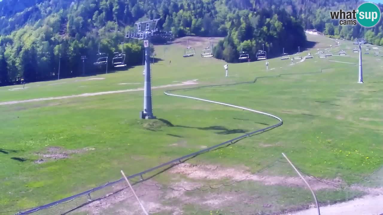 LIVE cam SKI Kranjska Gora – Vitranc – Slovenia