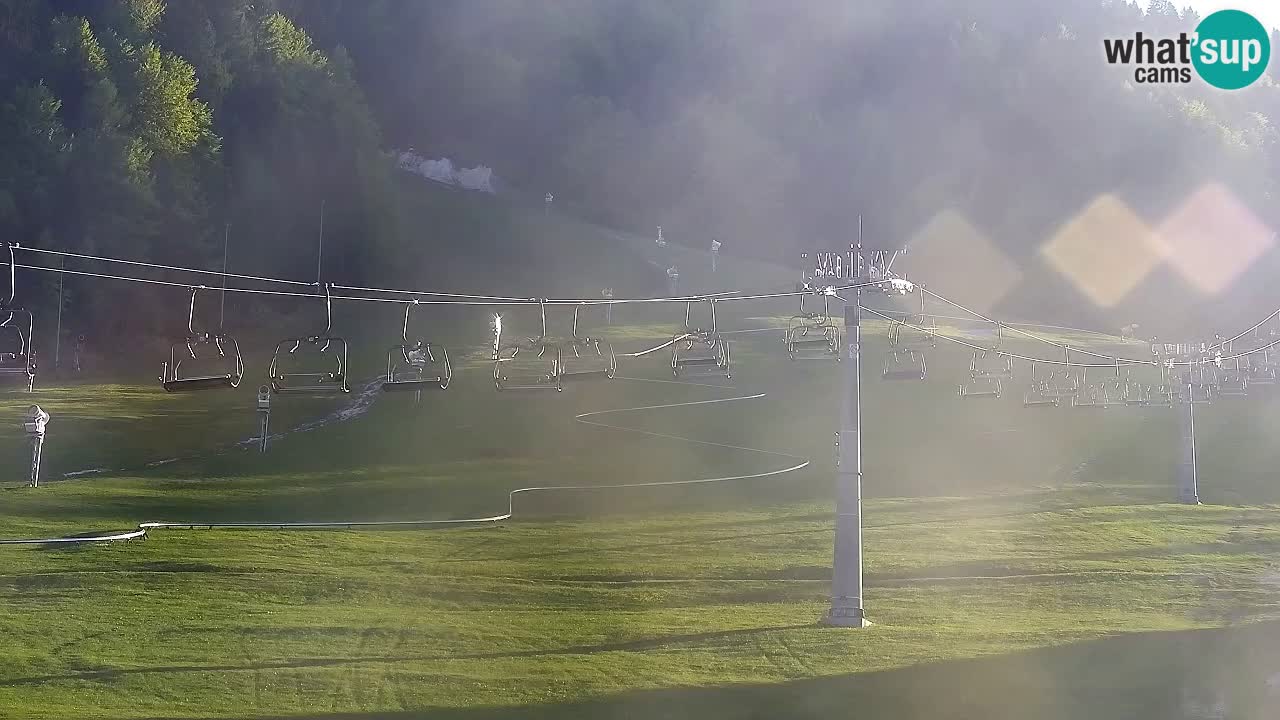 Webcam Kranjska Gora Vitranc | Smučarska proga Vitranc 1