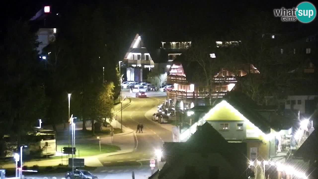 Bike Park Kranjska Gora