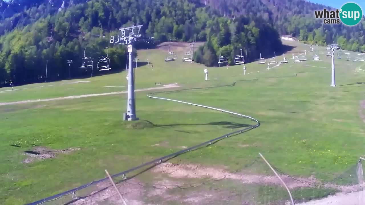 LIVE cam SKI Kranjska Gora – Vitranc – Slovenia