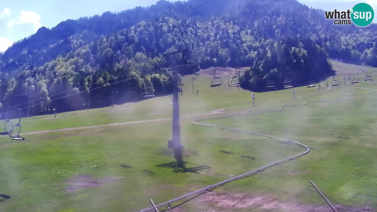 Webcam Kranjska Gora Vitranc | Smučarska proga Vitranc 1