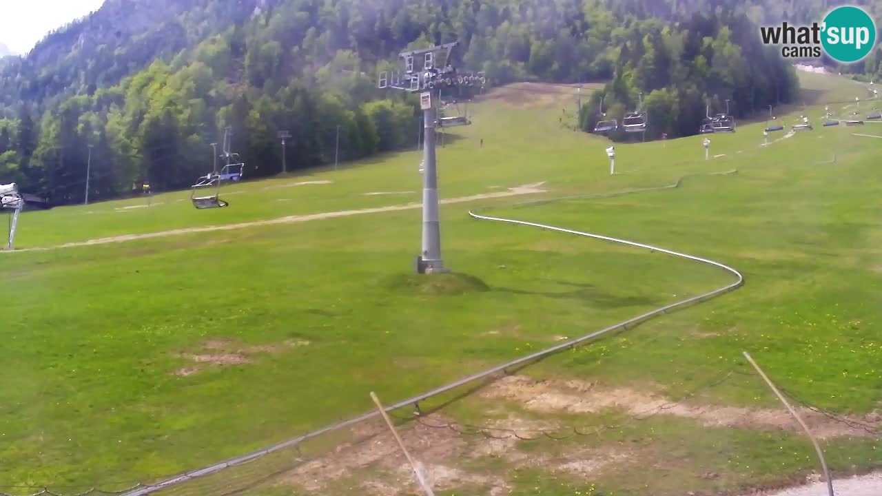 Kranjska Gora Live Cam Vitranc 1 | SKI Resort