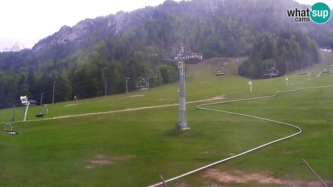 LIVE cam SKI Kranjska Gora – Vitranc – Poletno sankanje Furious Pehta