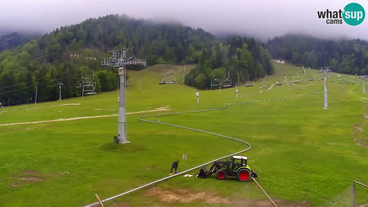 LIVE kamera SKI Kranjska Gora – Vitranc – Slovenija