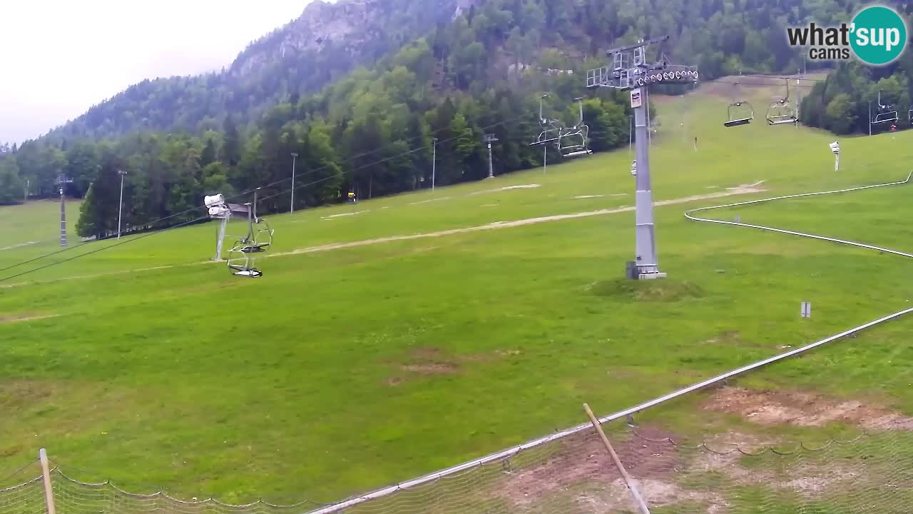 Webcam Kranjska Gora Vitranc | Smučarska proga Vitranc 1