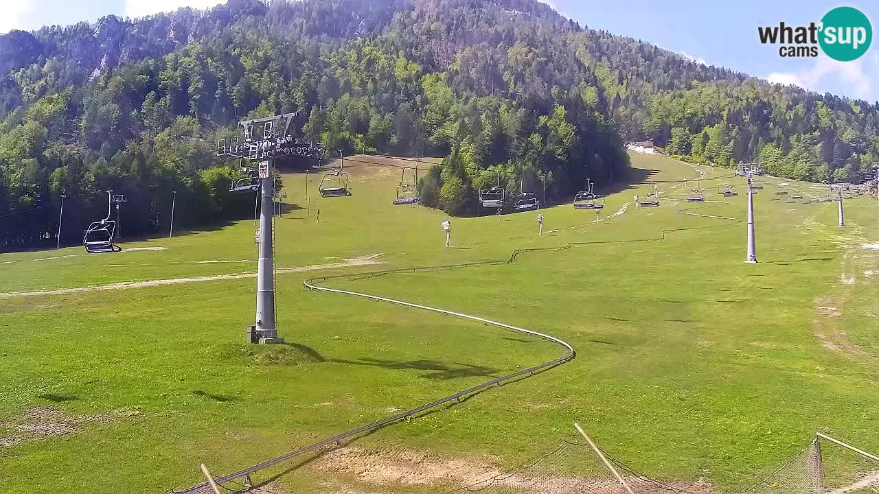 Kranjska Gora Live Cam Vitranc 1 | SKI Resort