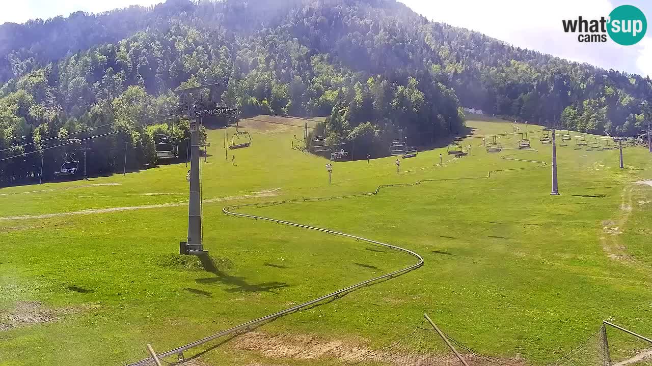 LIVE kamera SKI Kranjska Gora – Vitranc – Slovenija