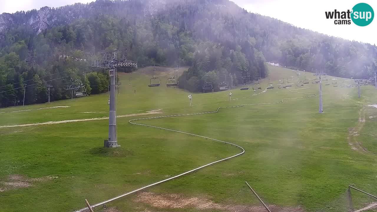 Webcam Kranjska Gora Vitranc | Smučarska proga Vitranc 1