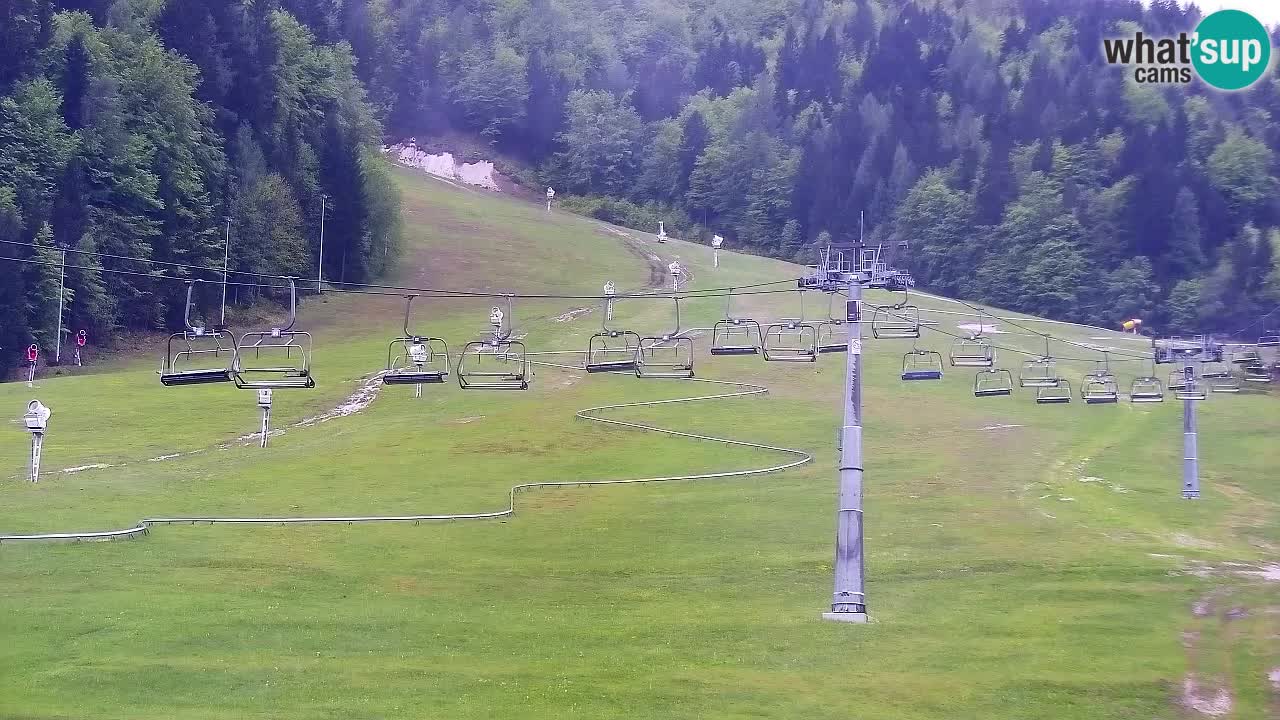 Kranjska Gora Live Cam Vitranc 1 | SKI Resort