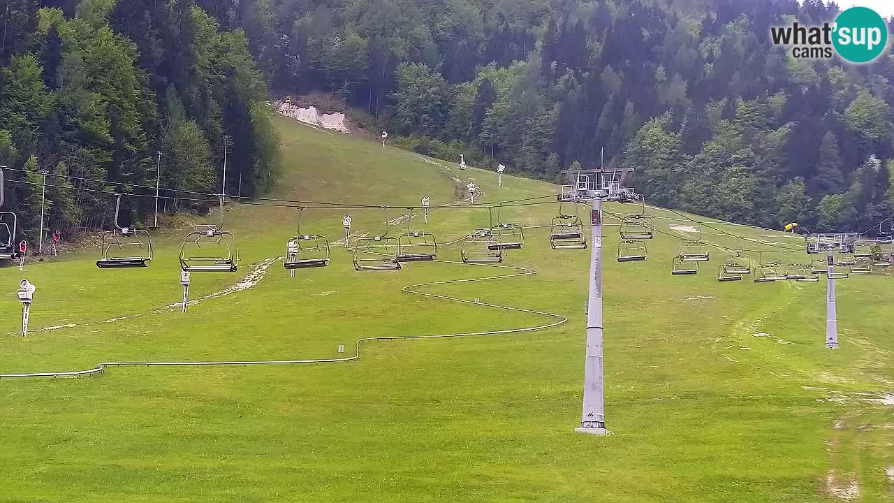 LIVE cam SKI Kranjska Gora – Vitranc – Poletno sankanje Furious Pehta