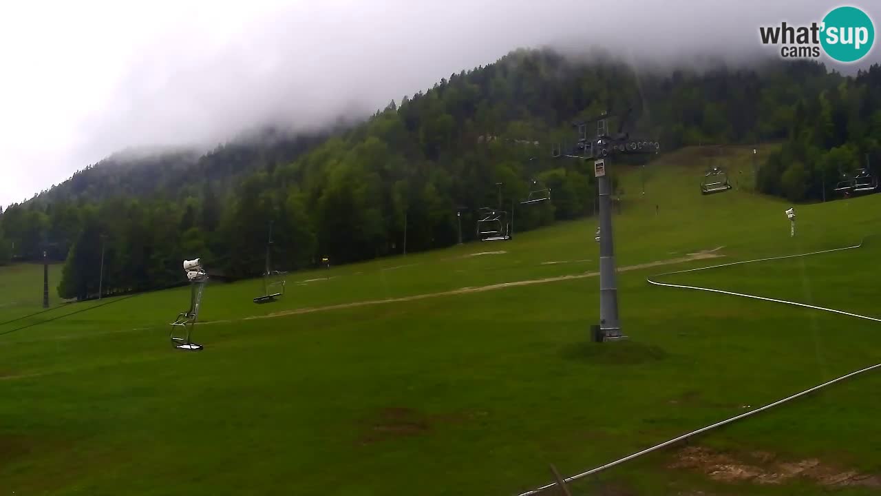 Kranjska Gora Live Cam Vitranc 1 | SKI Resort