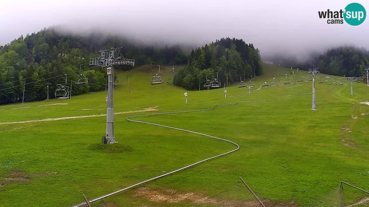 Kranjska Gora Live Cam Vitranc 1 | SKI Resort