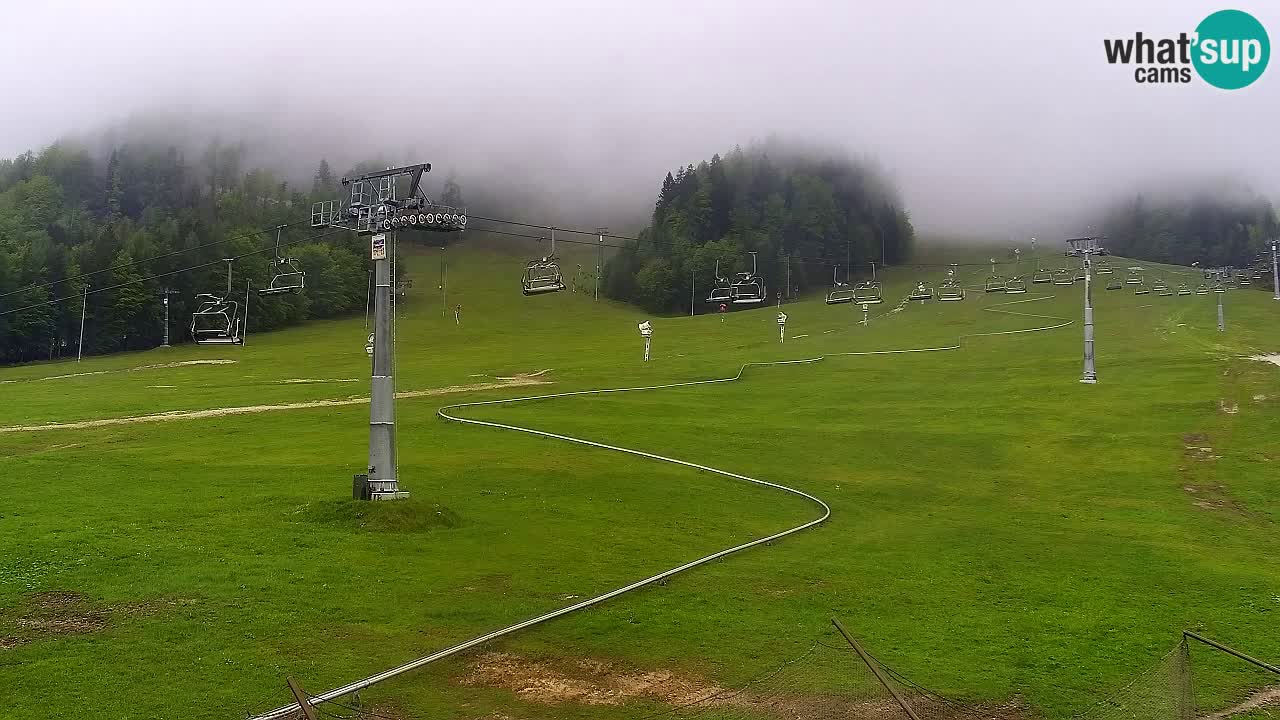 LIVE cam SKI Kranjska Gora – Vitranc – Poletno sankanje Furious Pehta