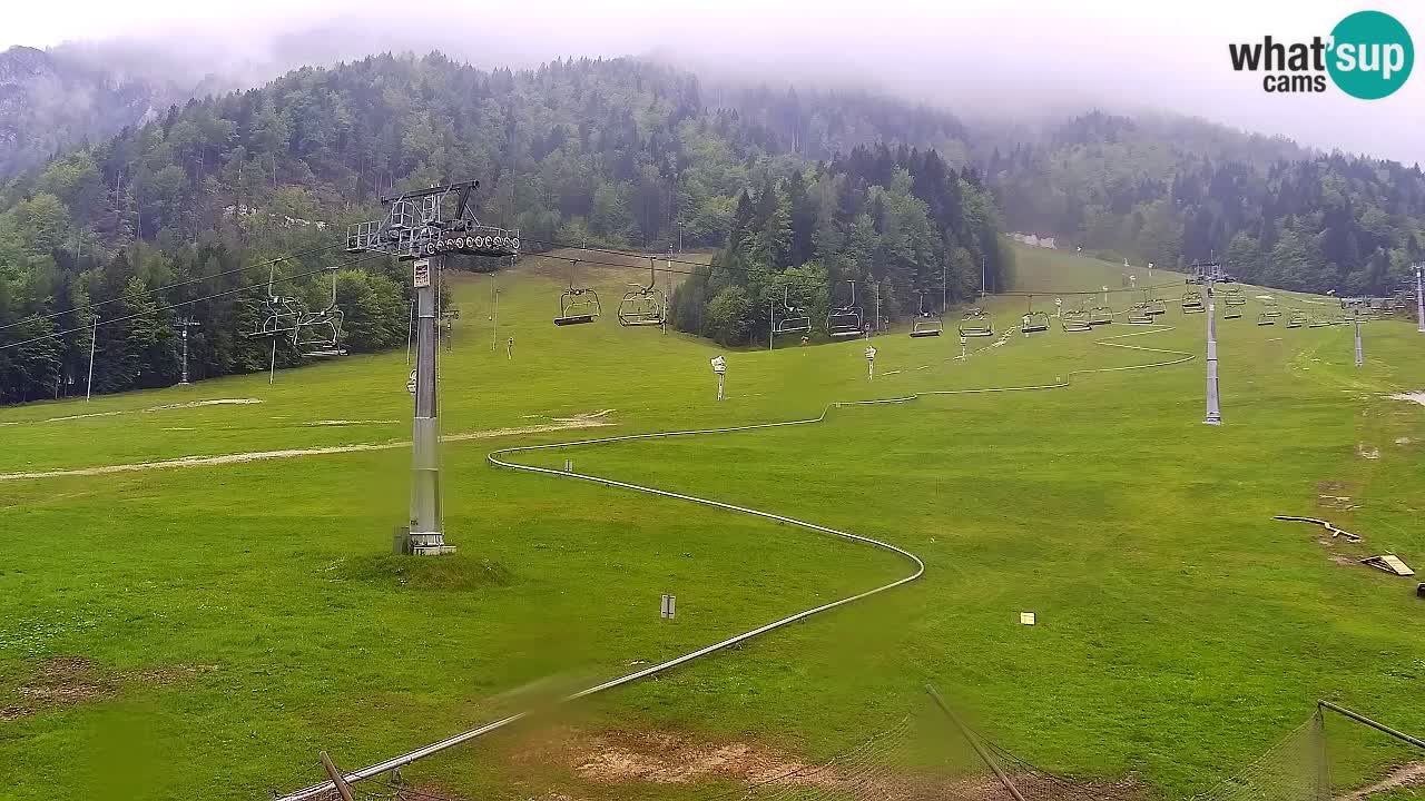 Webcam Kranjska Gora Vitranc | Smučarska proga Vitranc 1