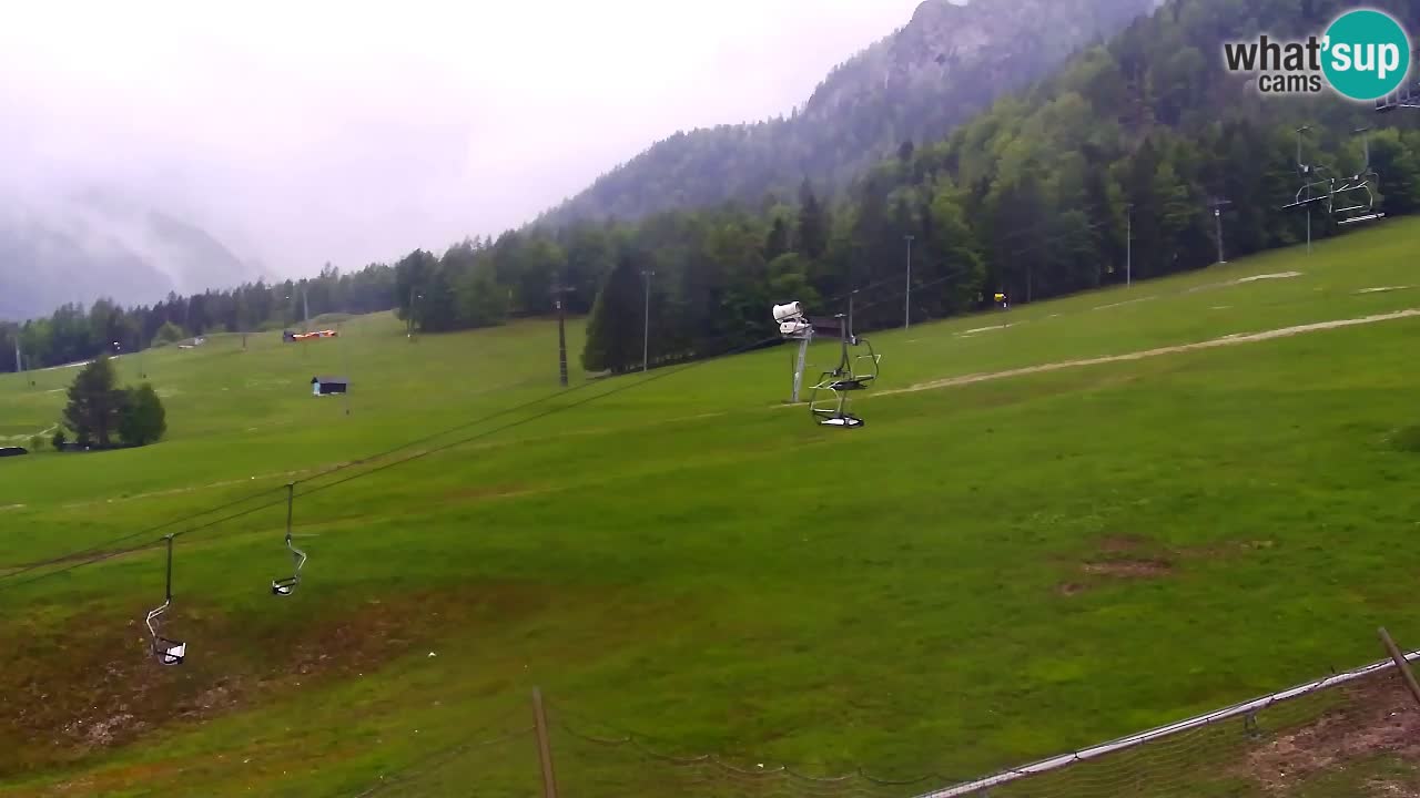 LIVE cam SKI Kranjska Gora – Vitranc – Poletno sankanje Furious Pehta