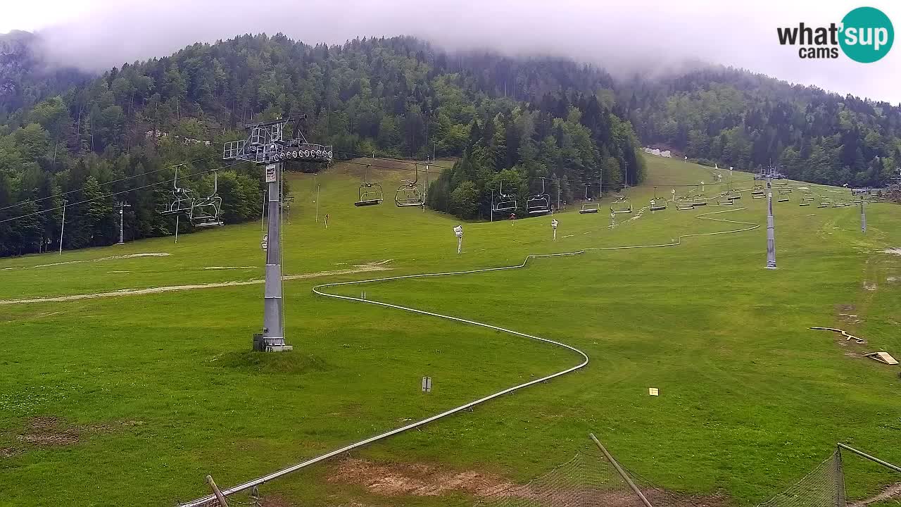 LIVE cam SKI Kranjska Gora – Vitranc – Poletno sankanje Furious Pehta