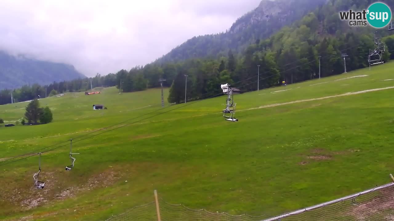 LIVE cam SKI Kranjska Gora – Vitranc – Poletno sankanje Furious Pehta