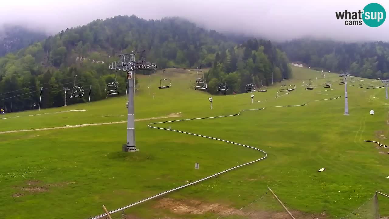 LIVE cam SKI Kranjska Gora – Vitranc – Slovenia