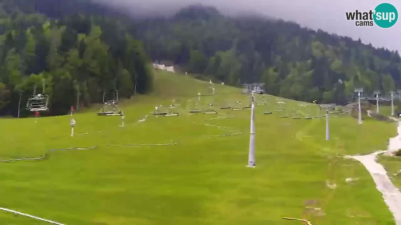Kranjska Gora Live Cam Vitranc 1 | SKI Resort