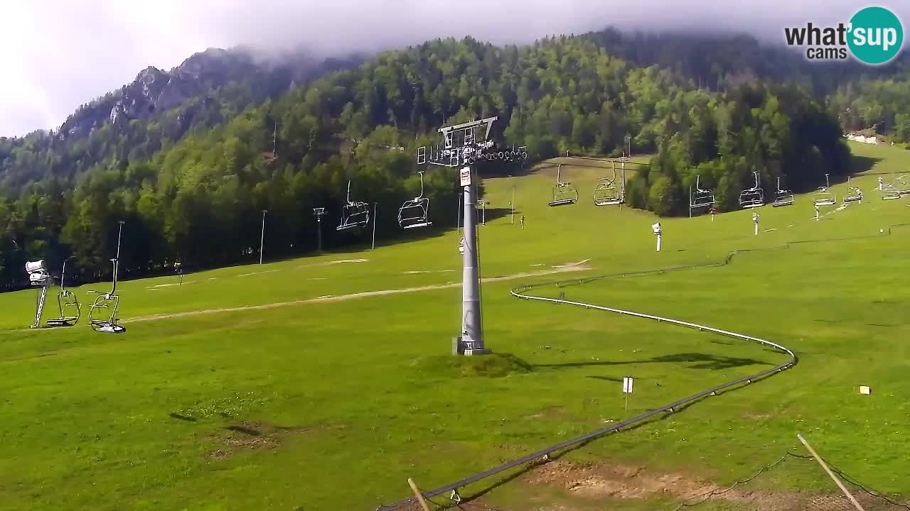 LIVE cam SKI Kranjska Gora – Vitranc – Poletno sankanje Furious Pehta