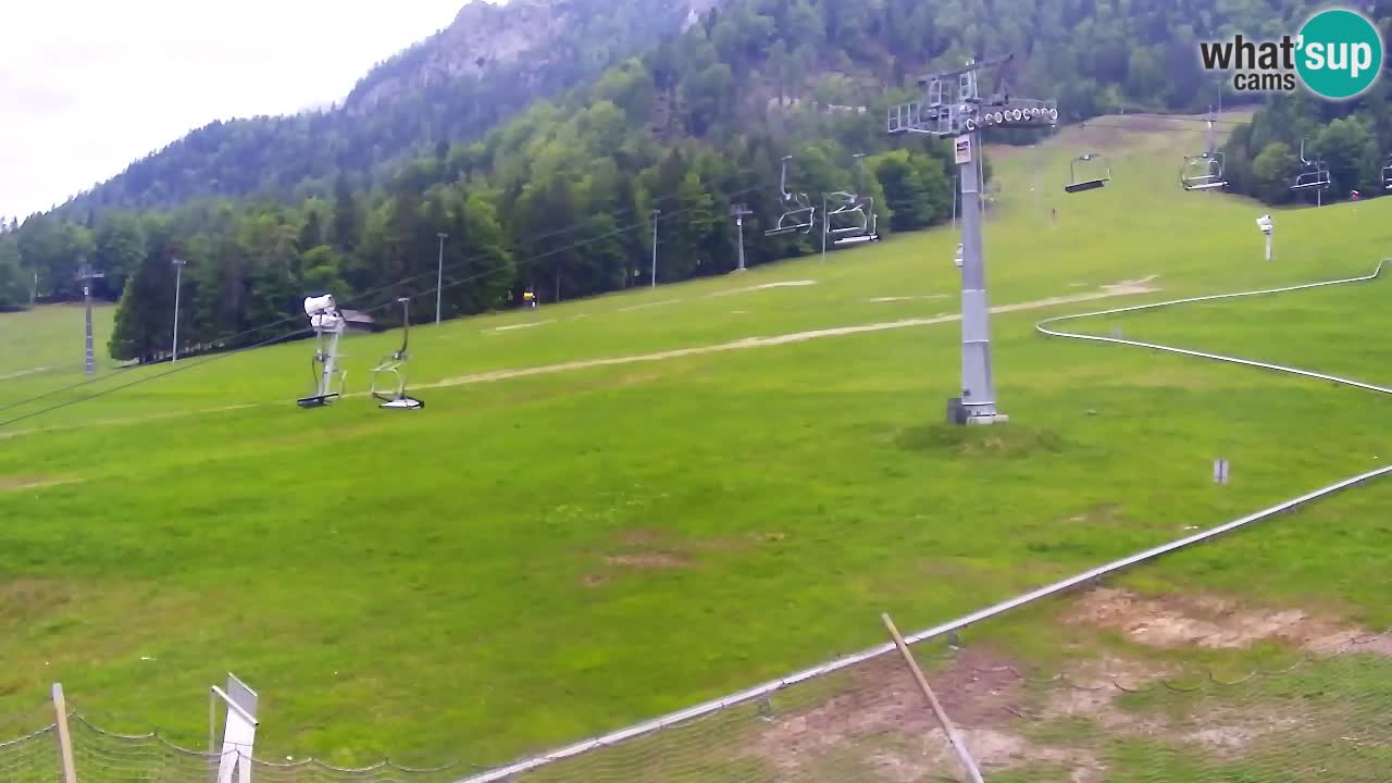 LIVE cam SKI Kranjska Gora – Vitranc – Poletno sankanje Furious Pehta