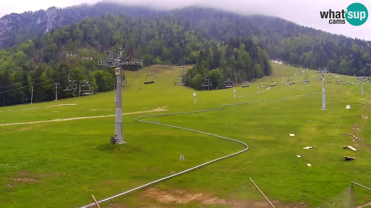 Kranjska Gora Live Cam Vitranc 1 | SKI Resort