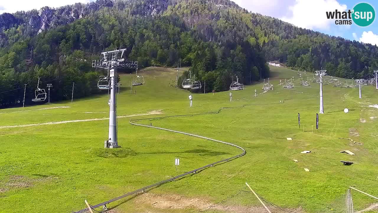 LIVE cam SKI Kranjska Gora – Vitranc – Poletno sankanje Furious Pehta