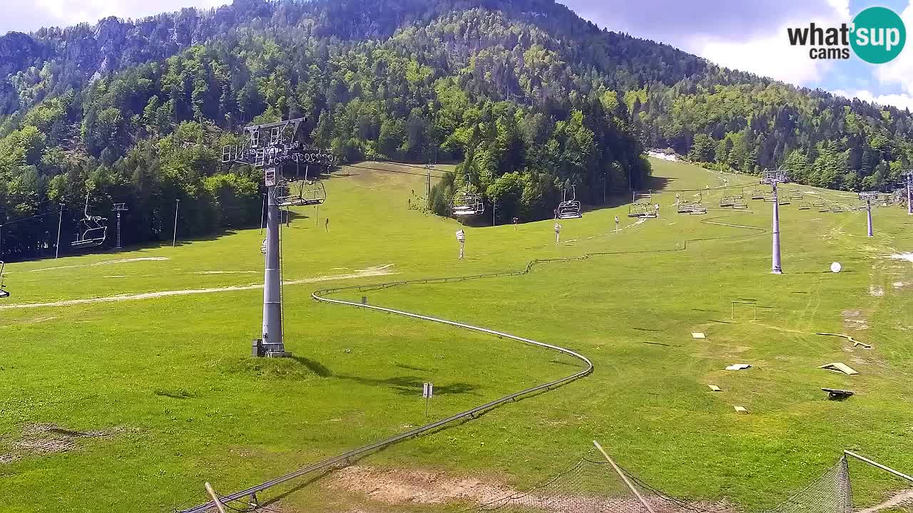 Webcam Kranjska Gora Vitranc | Smučarska proga Vitranc 1