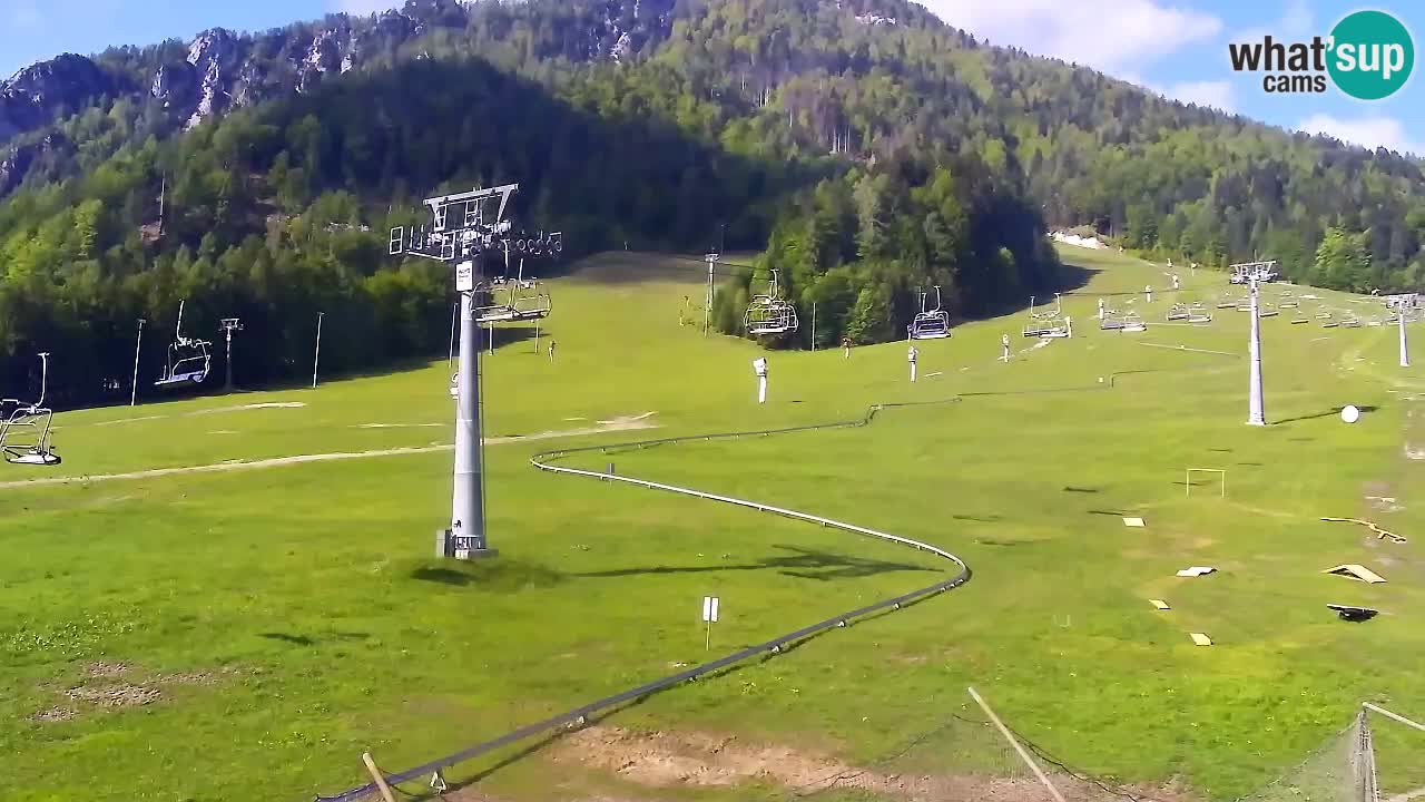 LIVE cam SKI Kranjska Gora – Vitranc – Poletno sankanje Furious Pehta