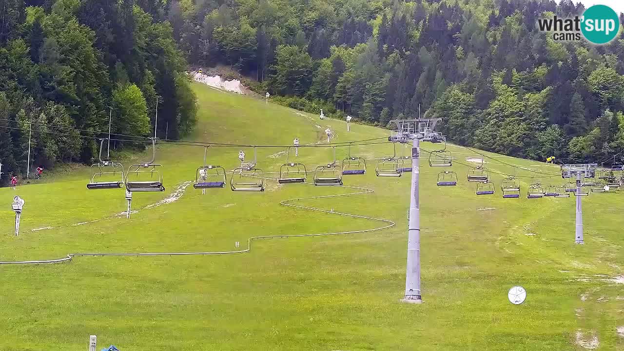 LIVE cam SKI Kranjska Gora – Vitranc – Poletno sankanje Furious Pehta