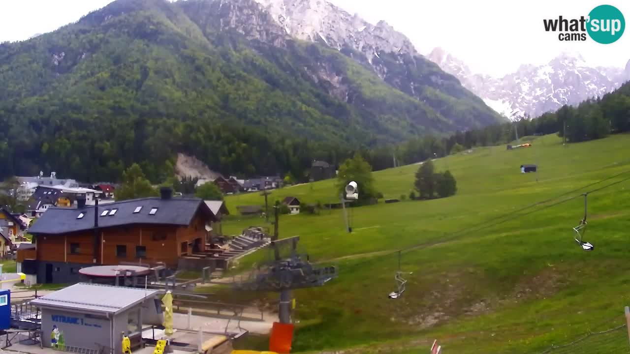 LIVE cam SKI Kranjska Gora – Vitranc – Poletno sankanje Furious Pehta