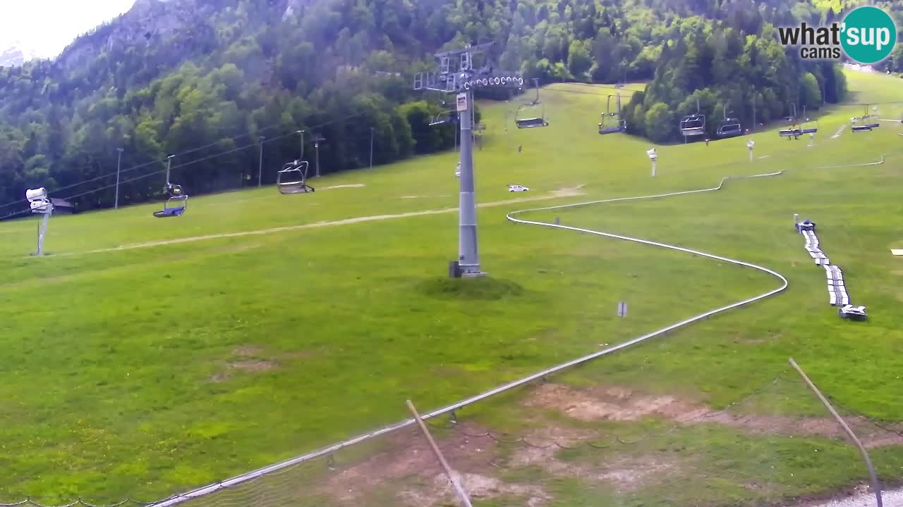 LIVE cam SKI Kranjska Gora – Vitranc – Poletno sankanje Furious Pehta