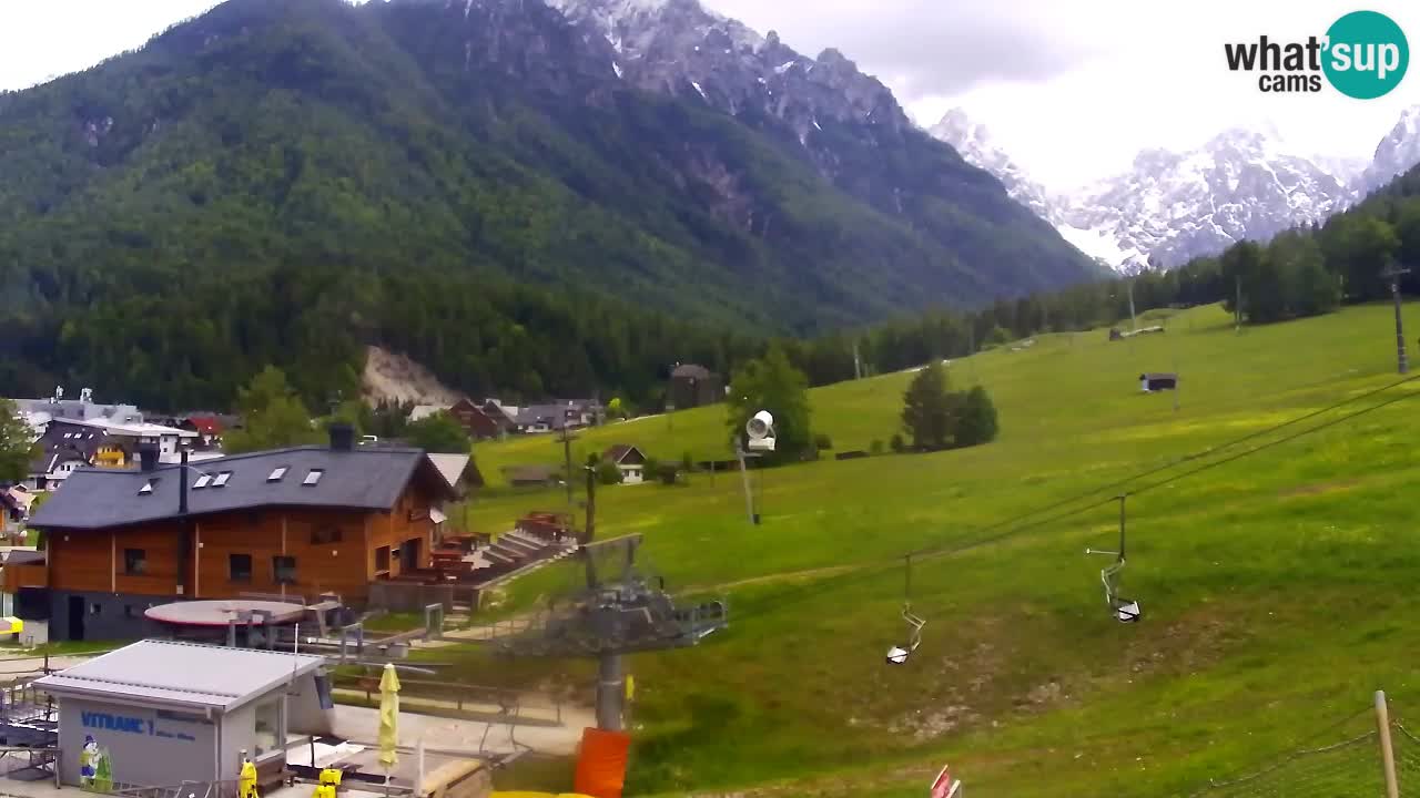 Webcam Kranjska Gora Vitranc | Smučarska proga Vitranc 1