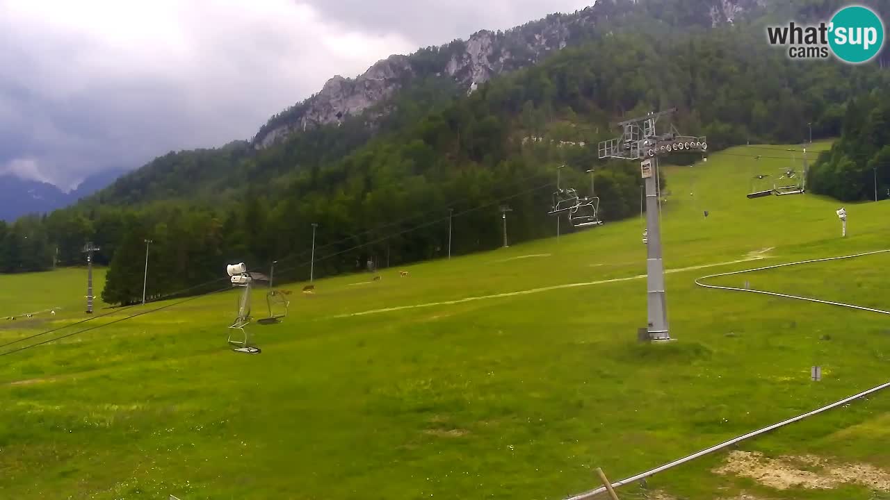 LIVE cam SKI Kranjska Gora – Vitranc – Eslovenia
