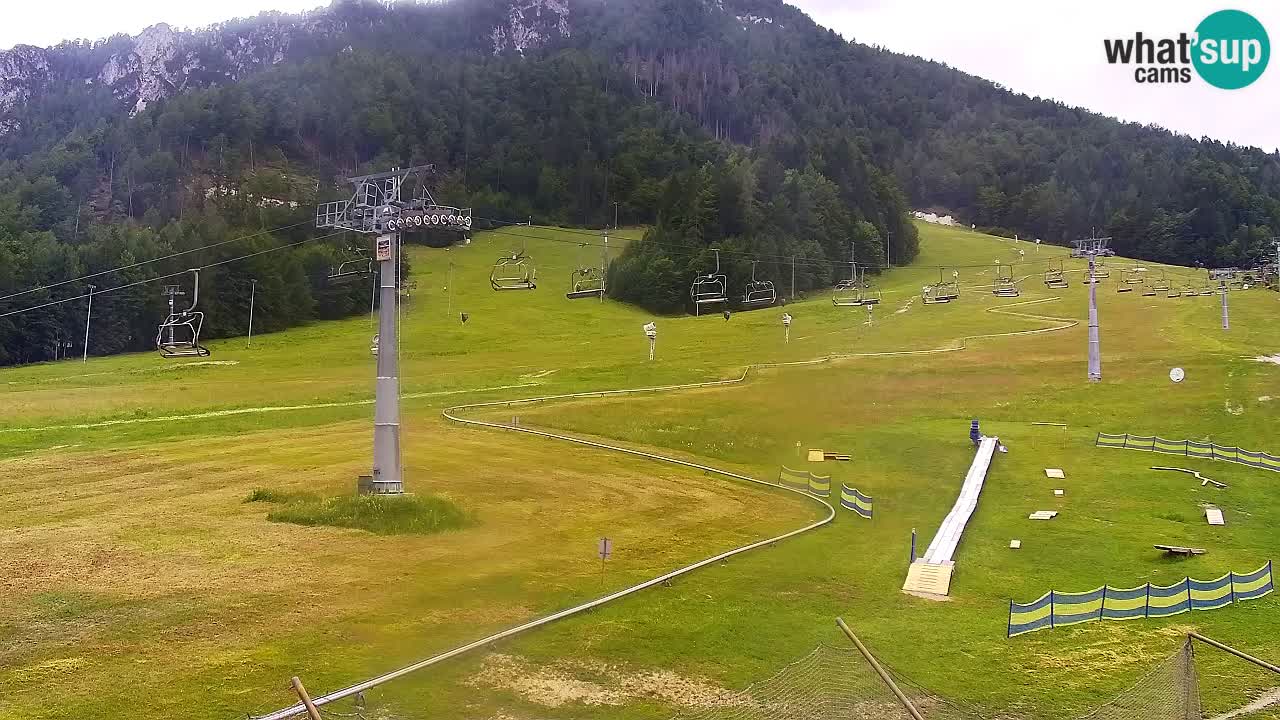Webcam Kranjska Gora Vitranc | Smučarska proga Vitranc 1