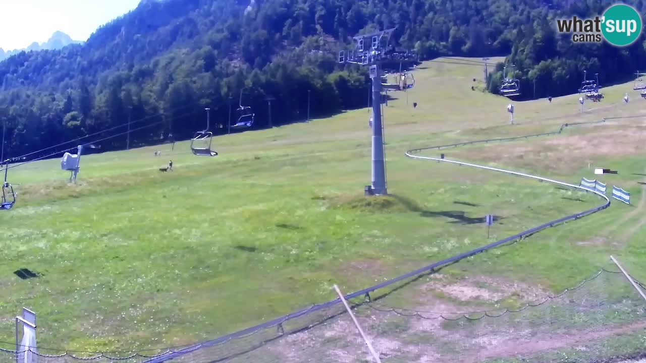 Kranjska Gora Live Cam Vitranc 1 | SKI Resort