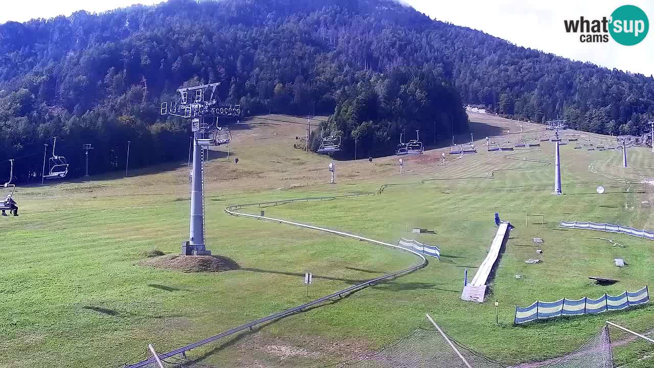 Webcam Kranjska Gora Vitranc | Smučarska proga Vitranc 1