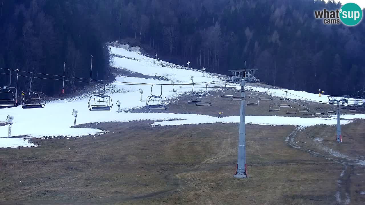 Webcam Kranjska Gora Vitranc | Smučarska proga Vitranc 1