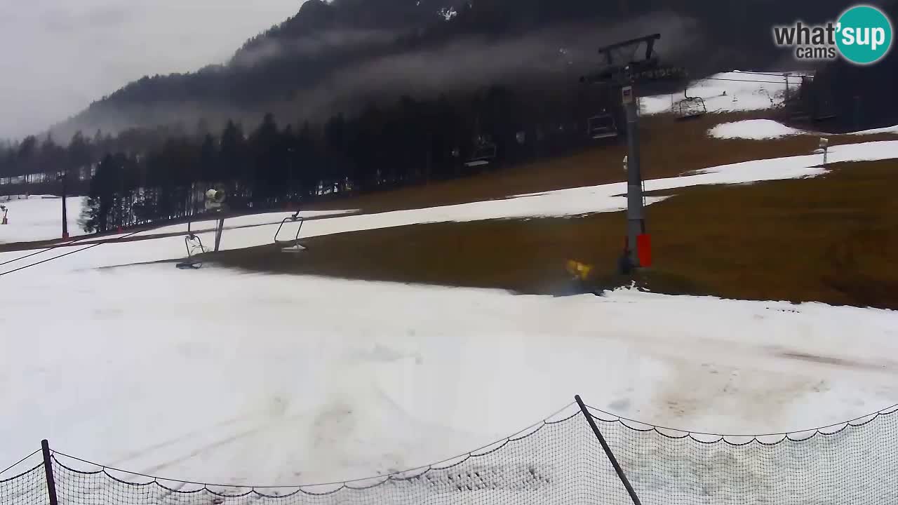 LIVE cam SKI Kranjska Gora – Vitranc – Slovenia