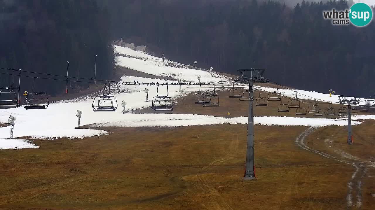 LIVE cam SKI Kranjska Gora – Vitranc – Slovenia