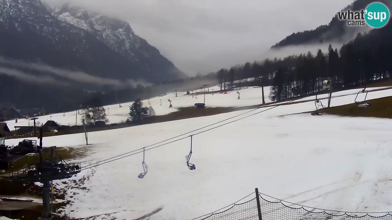 Webcam Kranjska Gora Vitranc | Smučarska proga Vitranc 1