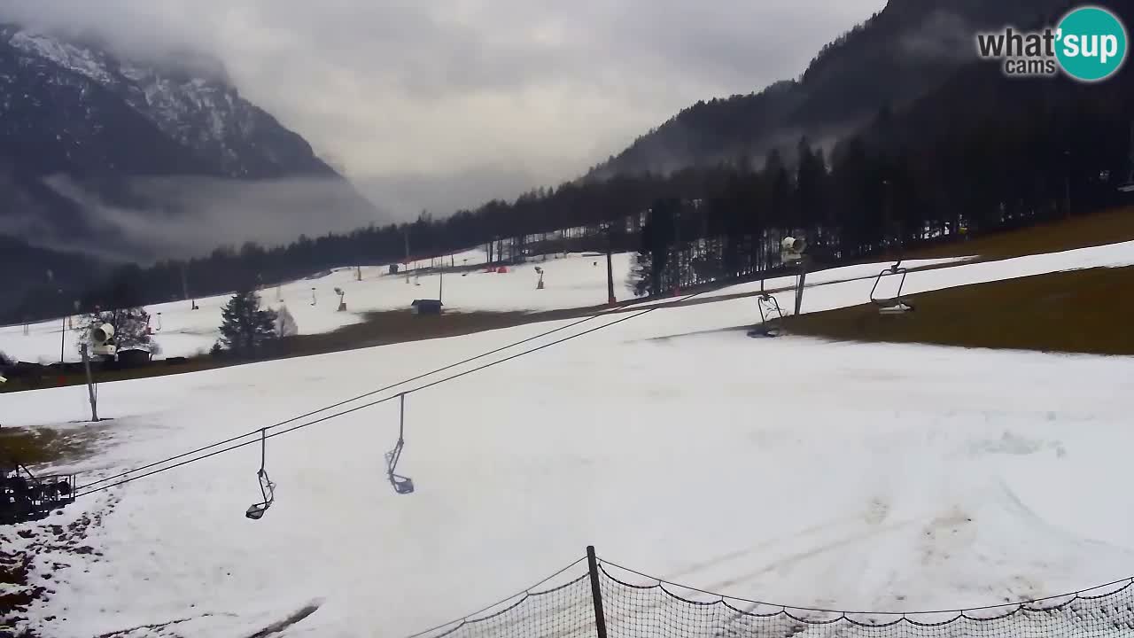 Webcam Kranjska Gora Vitranc | Smučarska proga Vitranc 1