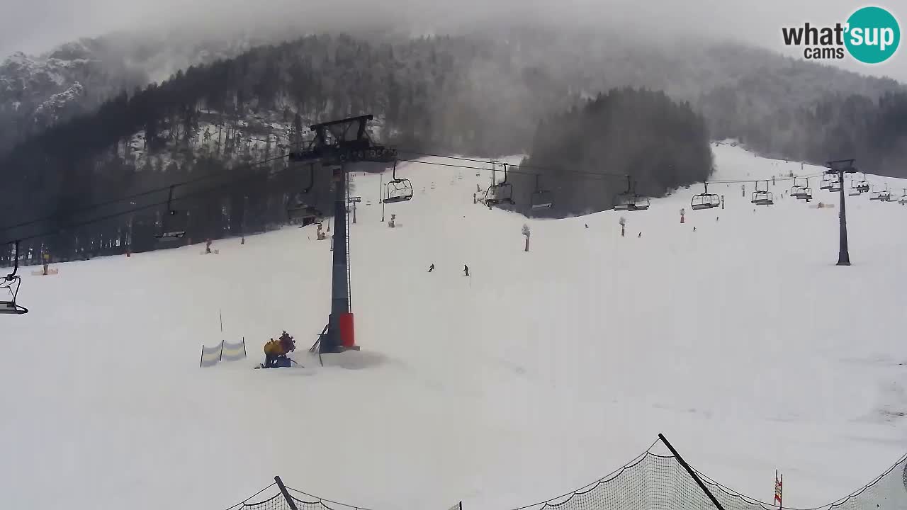 Smučarska proga Vitranc 1 Spletna kamera Kranjska Gora