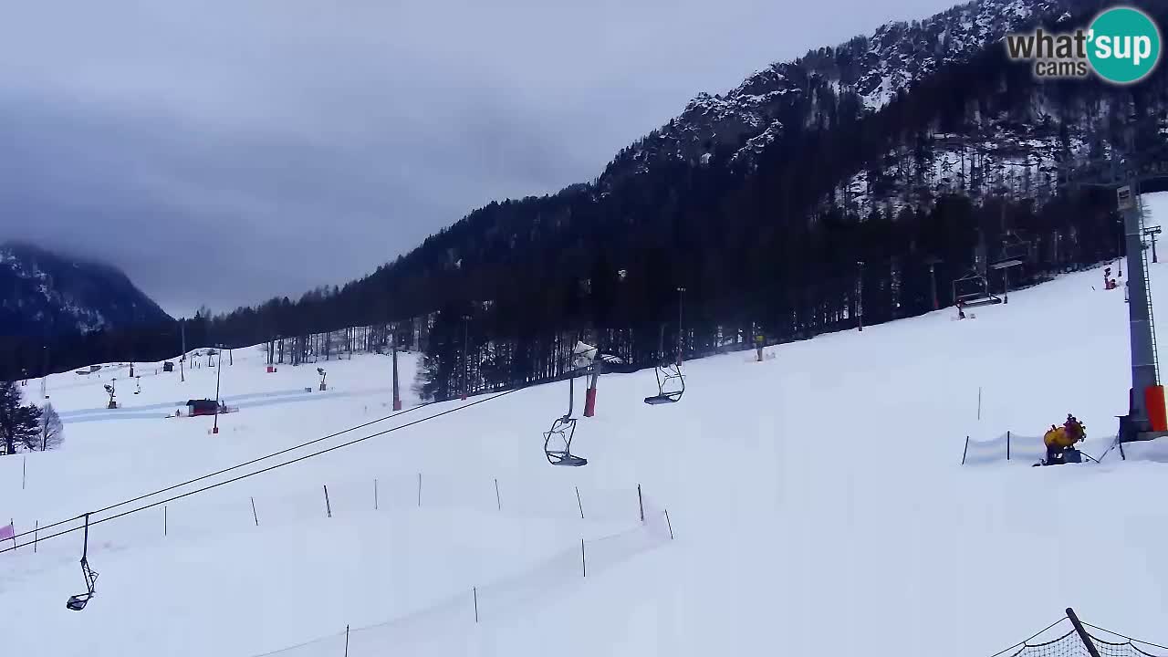 Bike Park Kranjska Gora